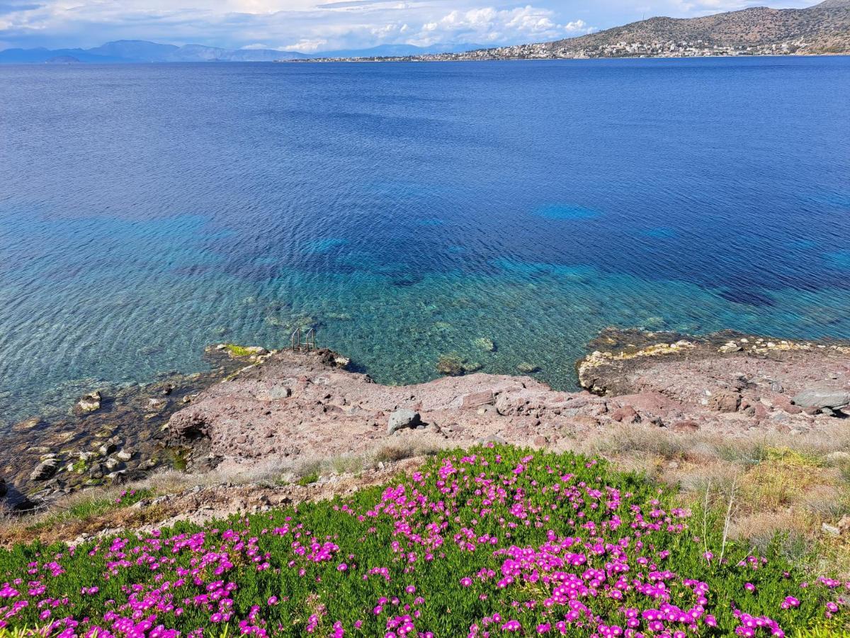 Almyra Seaside Βίλα Πέρδικα Εξωτερικό φωτογραφία