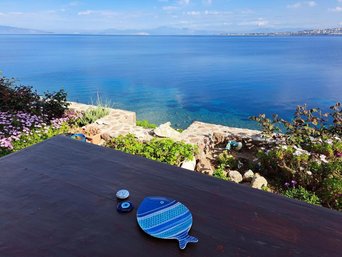 Almyra Seaside Βίλα Πέρδικα Εξωτερικό φωτογραφία