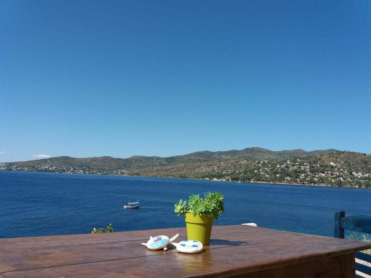 Almyra Seaside Βίλα Πέρδικα Εξωτερικό φωτογραφία